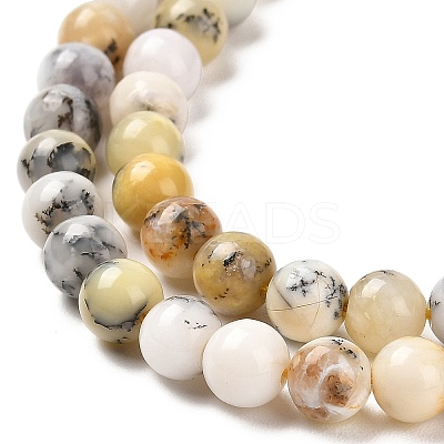Natural African Opal Beads Strands G-B048-B03-01-1