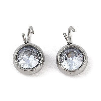 304 Stainless Steel Micro Pave Cubic Zirconia Charms STAS-Z094-02P-01-1