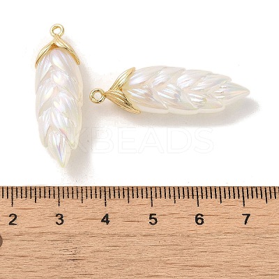 Rainbow Iridescent Plating Resin Pendants LS-RESI-C047-03B-G-1