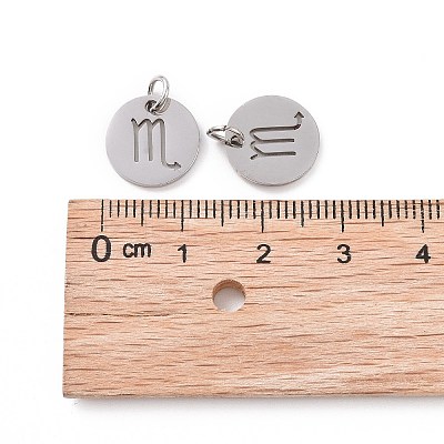 Non-Tarnish 304 Stainless Steel Charms STAS-Q201-T445-8S-1