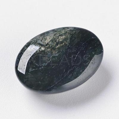 Natural Moss Agate Cabochons X-G-F296-09-10x14mm-1