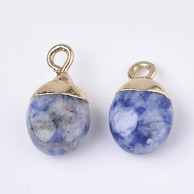 Electroplate Natural Blue Spot Jasper Charms G-S344-09I-1