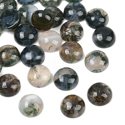 Natural Moss Agate Cabochons G-D367-01A-01-1