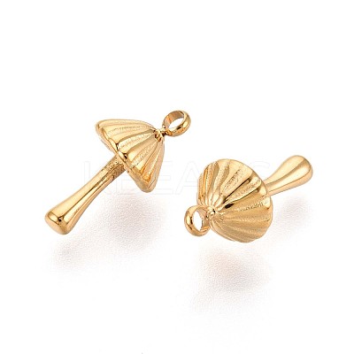 304 Stainless Steel Charms STAS-N109-163G-1