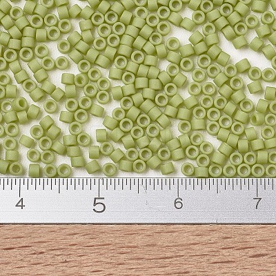 MIYUKI Delica Beads LS-SEED-J020-DB2290-1