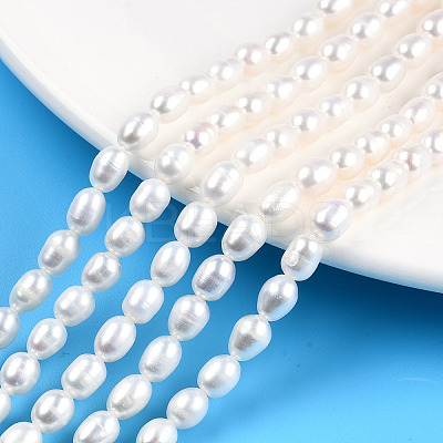 Natural Cultured Freshwater Pearl Beads Strands PEAR-N012-05I-1