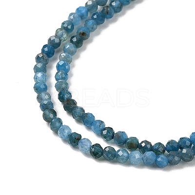 Natural Apatite Beads Strands G-K366-C07-2mm-1