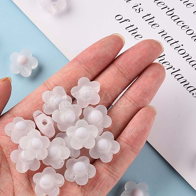 Transparent Acrylic Beads LS-TACR-S152-09C-06-1