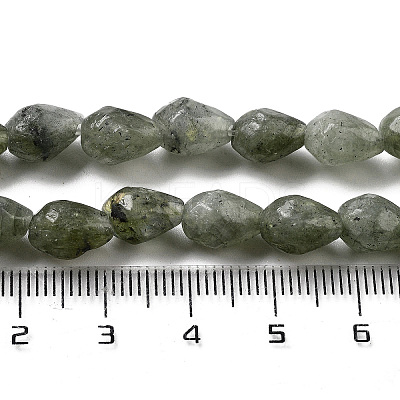 Natural Labradorite Beads Strands G-P520-B05-01-1