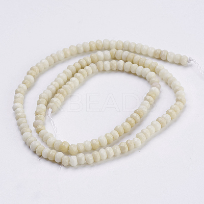 Natural Petrified Wood Beads Strands G-K255-16-1