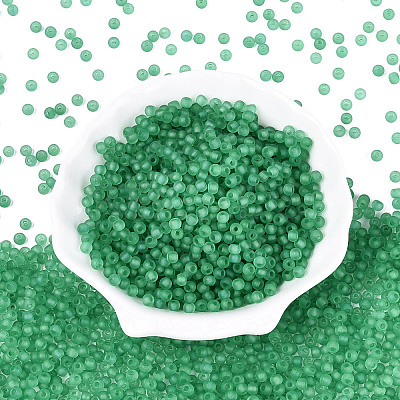 FGB Frosted Transparent Glass Seed Beads SEED-N013-02A-09-1