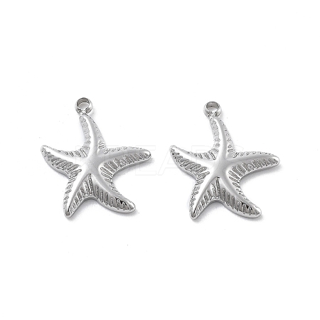 304 Stainless Steel Charms STAS-Z121-33P-1