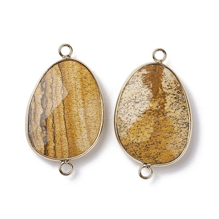Natural Picture Jasper Connector Charms G-C110-02E-KCG-1
