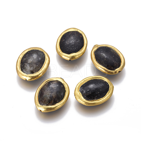 Natural Black Fossil Beads G-F633-14B-1