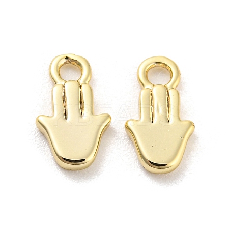 Rack Plating Brass Charms KK-C038-03G-1