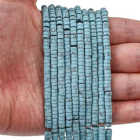 Dyed Synthetic Turquoise Beads Strands G-Z089-A04-F-1