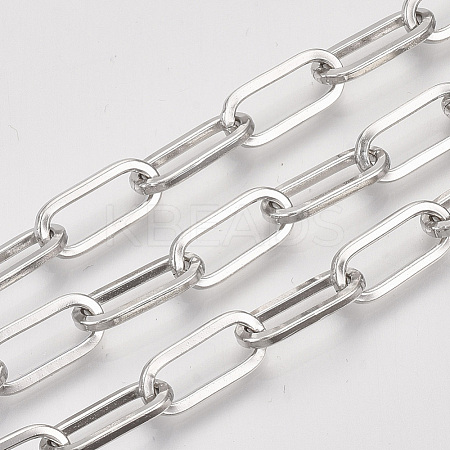 Unwelded Iron Paperclip Chains CH-S125-02C-P-1