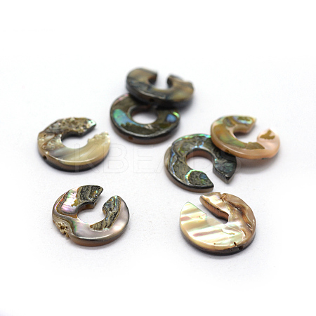 Natural Paua Shell Beads X-SSHEL-G020-30-15mm-1