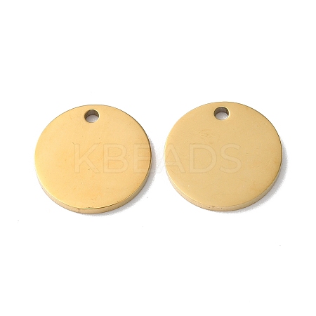 304 Stainless Steel Charms STAS-Q308-09I-G-1
