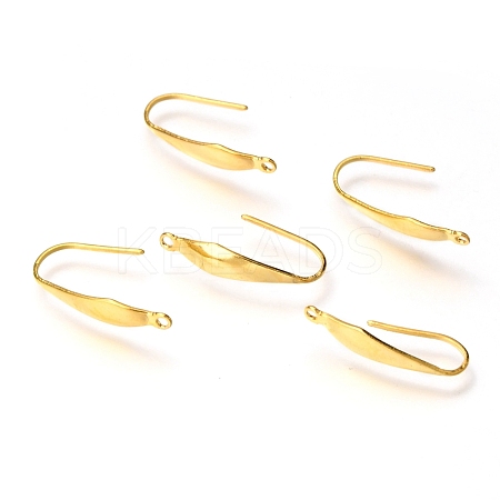 316 Stainless Steel Earring Hooks X-STAS-Z034-10G-1