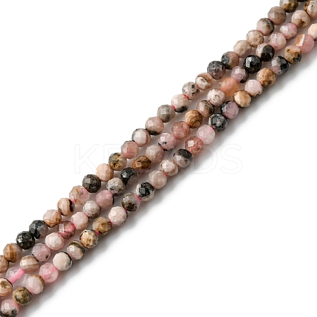 Natural Argentina Rhodonite Beads Strands LS-G-M399-01A-1