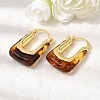Brass Resin Hoop Earrings EJEW-P333-11B-G02-2