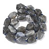 Natural Labradorite Beads Strands G-C270-F01-3