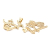 Brass Micro Pave Clear Cubic Zirconia Pendants ZIRC-F124-01G-2
