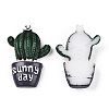 Opaque Resin Decoden Cabochons AJEW-N001-02-2