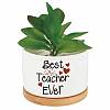 Ceramics Planters DJEW-WH0592-005-1