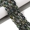 Natural Moss Agate Beads Strands G-Q194-B03-01-2