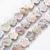 Electroplated Natural Freshwater Shell Beads Strands X-SHEL-N026-164-1