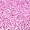 6/0 Baking Paint Transparent Fringe Glass Seed Beads SEED-N006-06G-3