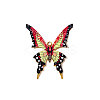 304 Stainless Steel Enamel Pendants STAS-OY009-88G-02-1