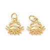 Brass Charms KK-G549-17C-G-1
