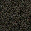 TOHO Round Seed Beads SEED-XTR11-0250FM-2