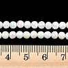 Electroplate Glass Beads Strands EGLA-B013-01A-AB07-4