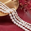 4Strands 2 Styles Natural Cultured Freshwater Pearl Beads Strands PEAR-NB0001-64-5