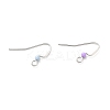 Tarnish Resistant 316 Surgical Stainless Steel Earring Hooks STAS-E044-02P-2