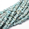 Natural Larimar Chip Beads Strands L-G-E271-77-1
