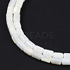 Natural Freshwater Shell Beads Strands BSHE-H109-17A-4