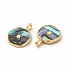 Eco-Friendly Rack Plating Brass Pendants X-KK-F851-10G-2