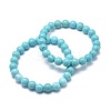 Natural Howlite Bead Stretch Bracelets BJEW-K212-C-011-1