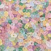 FGB Frosted Transparent Glass Seed Beads SEED-N013-06A-3
