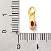 Rack Plating Brass Micro Pave Cubic Zirconia Charms KK-F881-03G-03-3