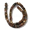 Natural Picasso Jasper Beads Strands G-Q161-C01-02-3