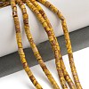Natural Imperial Jasper Beads Strands G-P460-06F-5