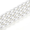 Baking Paint Pearlized Glass Pearl Bead Strands HY-T002-01A-01-3