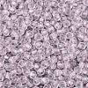FGB Grade A Transparent Glass Seed Beads SEED-Q040-03A-04-4
