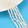 Natural Cultured Freshwater Pearl Beads Strands PEAR-P064-19C-12A-1